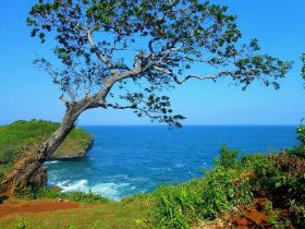 Kesirat Beach Yogyakarta