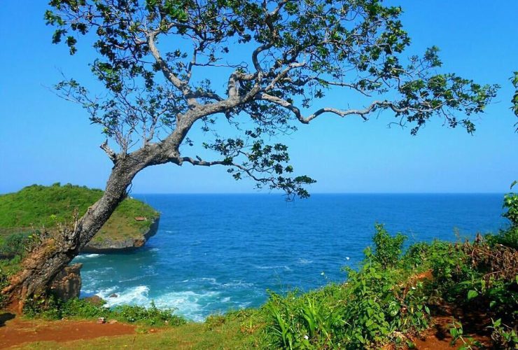 Kesirat Beach Yogyakarta